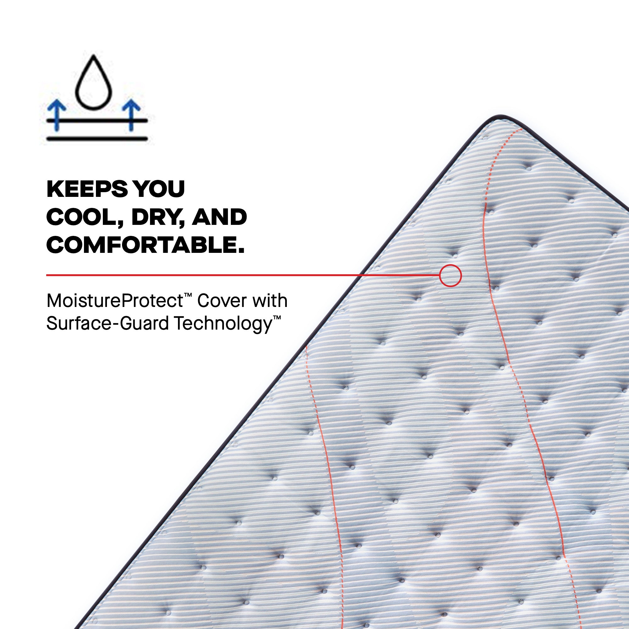 Sealy Posturepedic® Spring Medina Firm Mattress