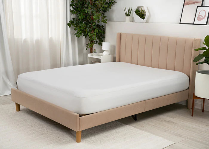 Basic Mattress Protector