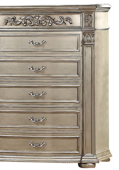 Platinum Traditional Style Chest in Gold finish Wood