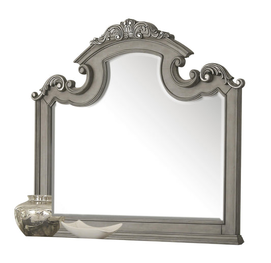 Silvy Transitional Style Mirror in Gray finish Wood