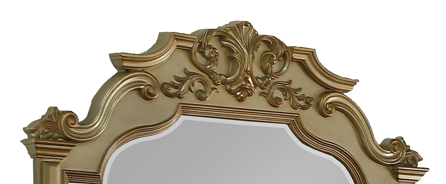 Miranda Transitional Style Mirror in Gold finish Wood