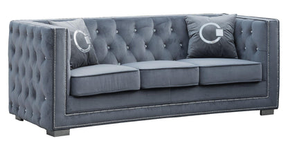 Zion Modern Style Gray Sofa with Steel legs