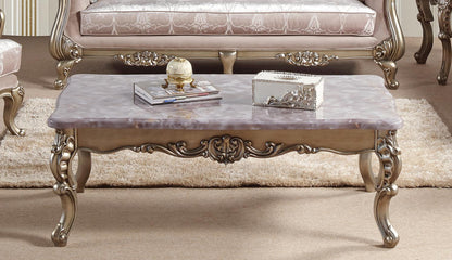 Ariana Traditional Style Coffee Table in Champagne finish Wood