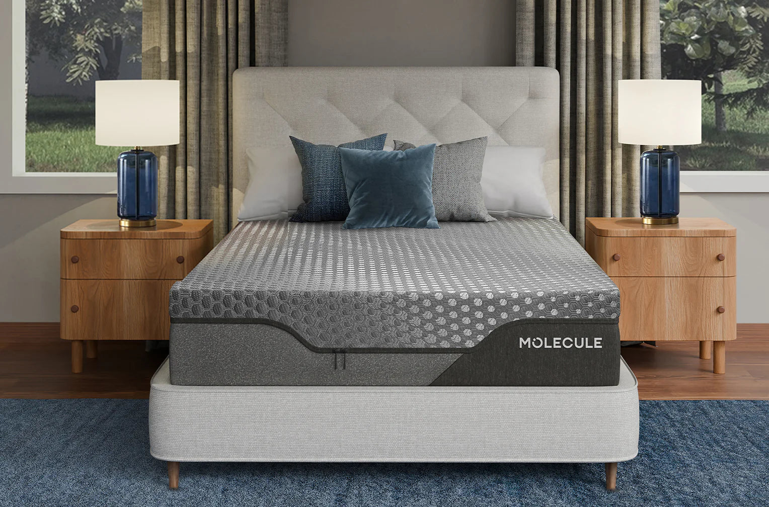 MOLECULE Engage 12
