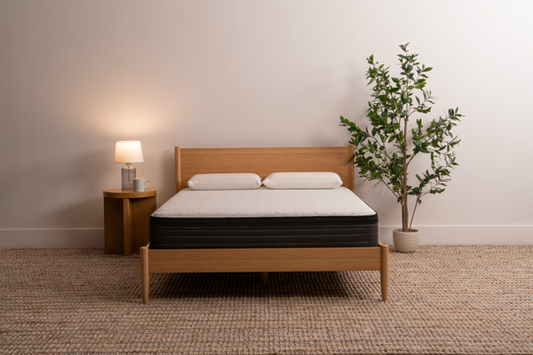 KOVA Contour™ 12" Euro-Top Plush Gel Memory Foam - Mattress on Demand