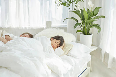 Memory Foam